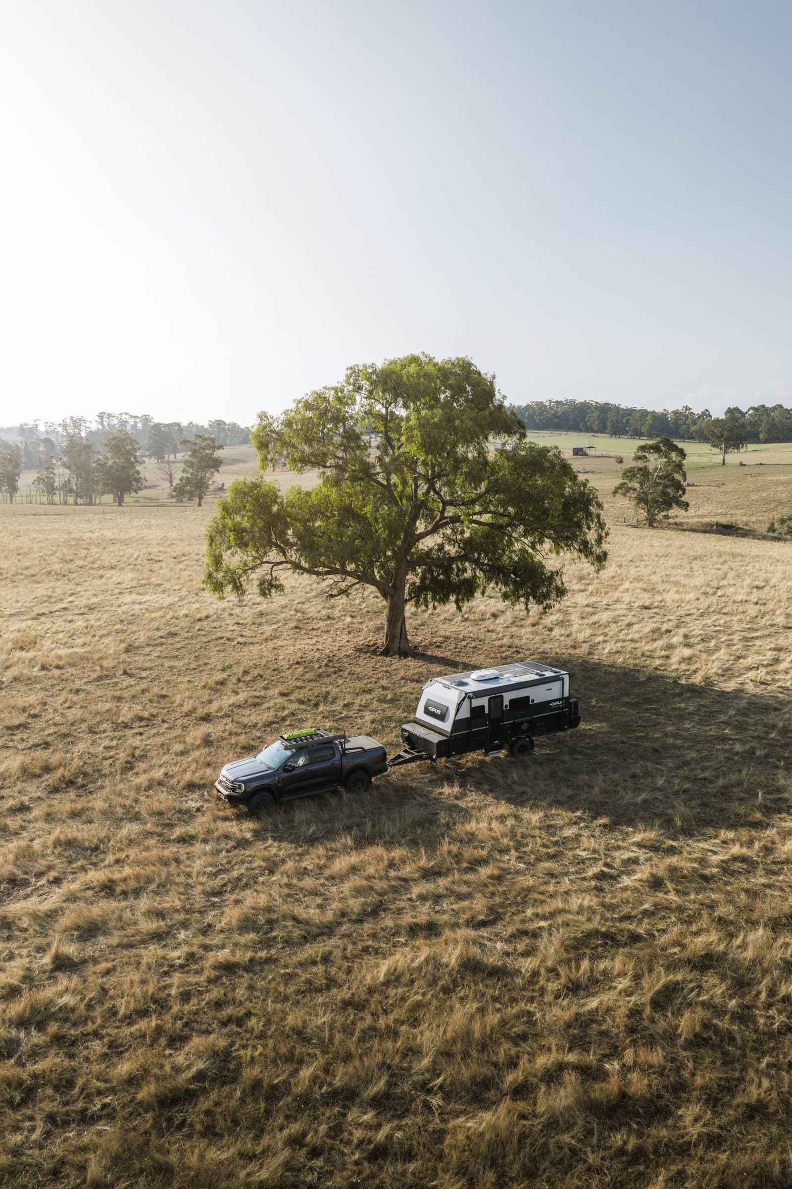 EXPEDITION MAX, Single-tree paddock · midday